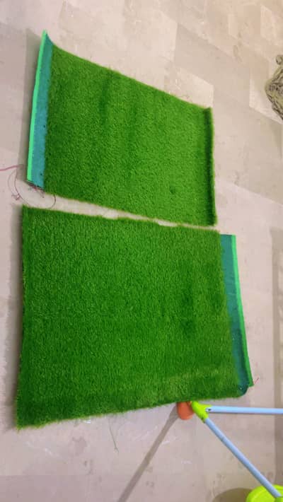 Austroturf Grass Carpet For Sale