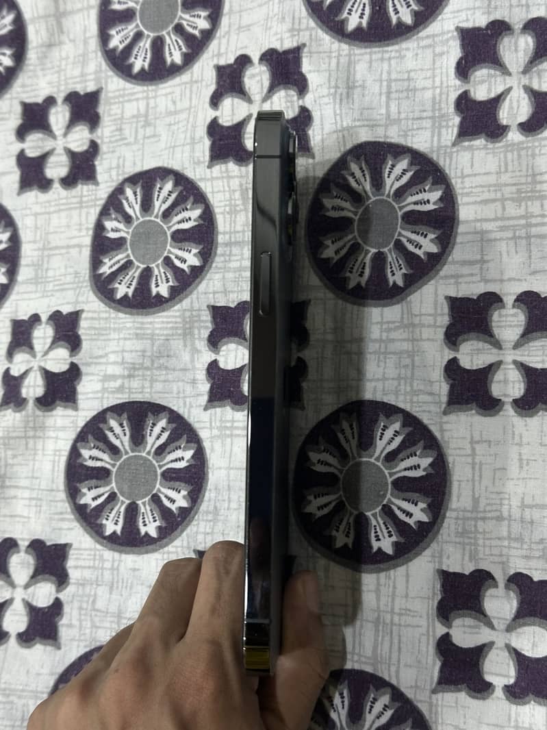 Apple iPhone 13 Pro Max 3