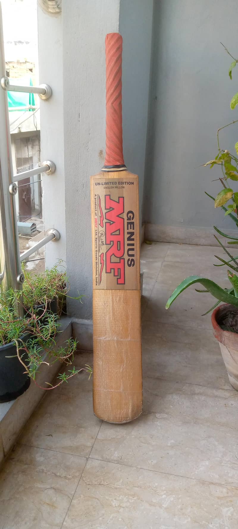 Cricket Bat 1