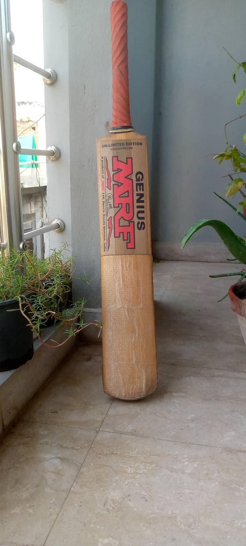 Cricket Bat 2