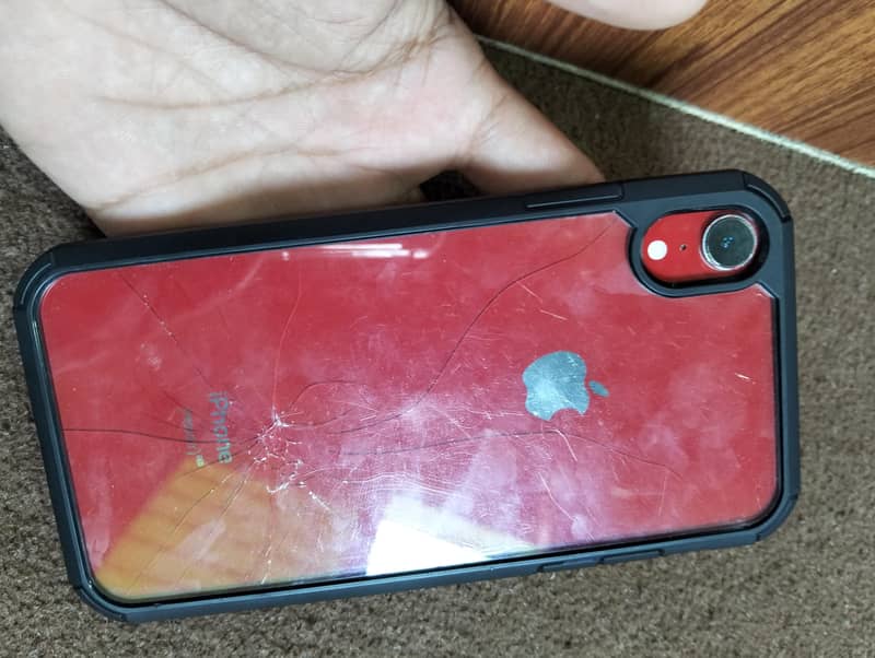 Apple iPhone XR 5