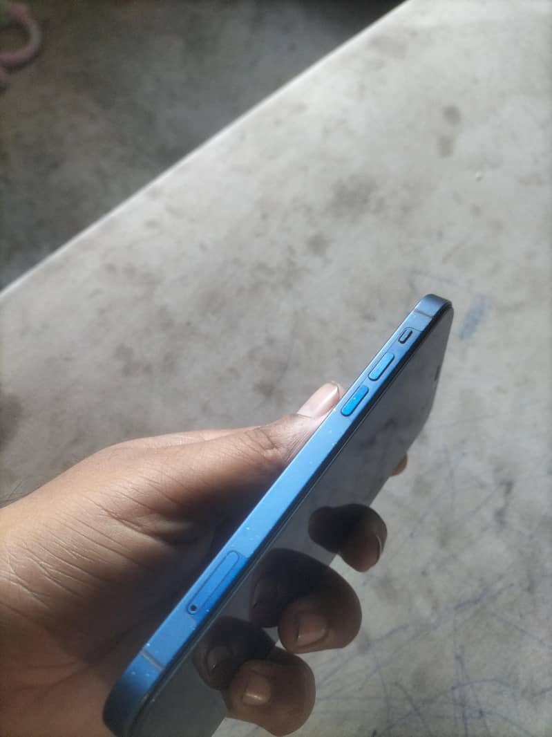 Apple iPhone 12 1