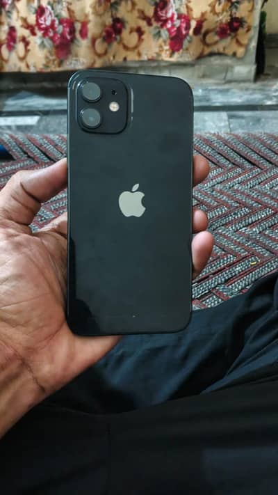 Apple iPhone 12
