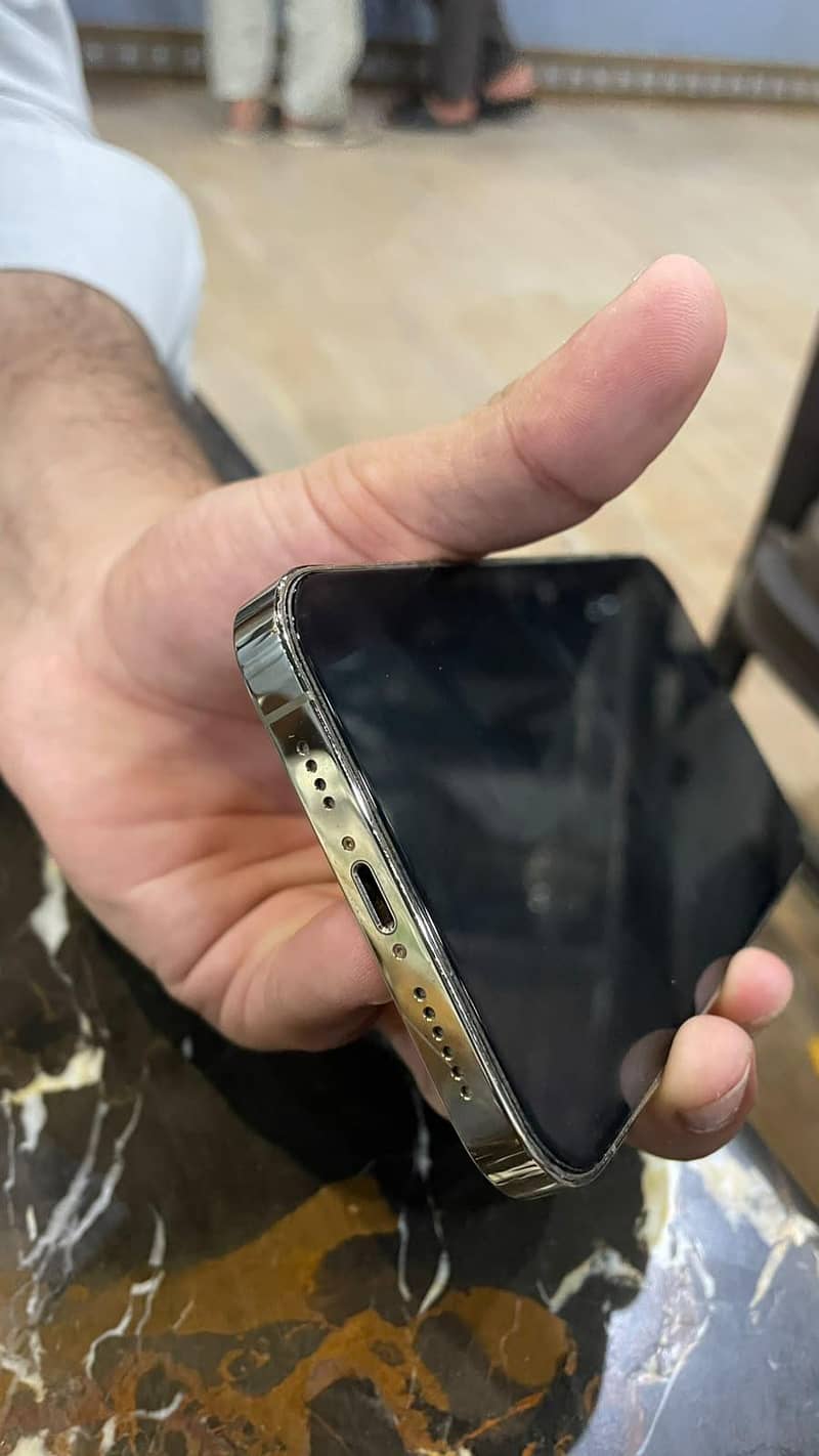 Apple iPhone 13 Pro Max 1