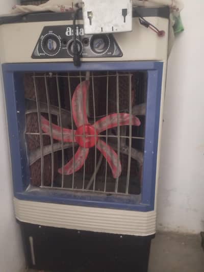 rook cooler for sale
