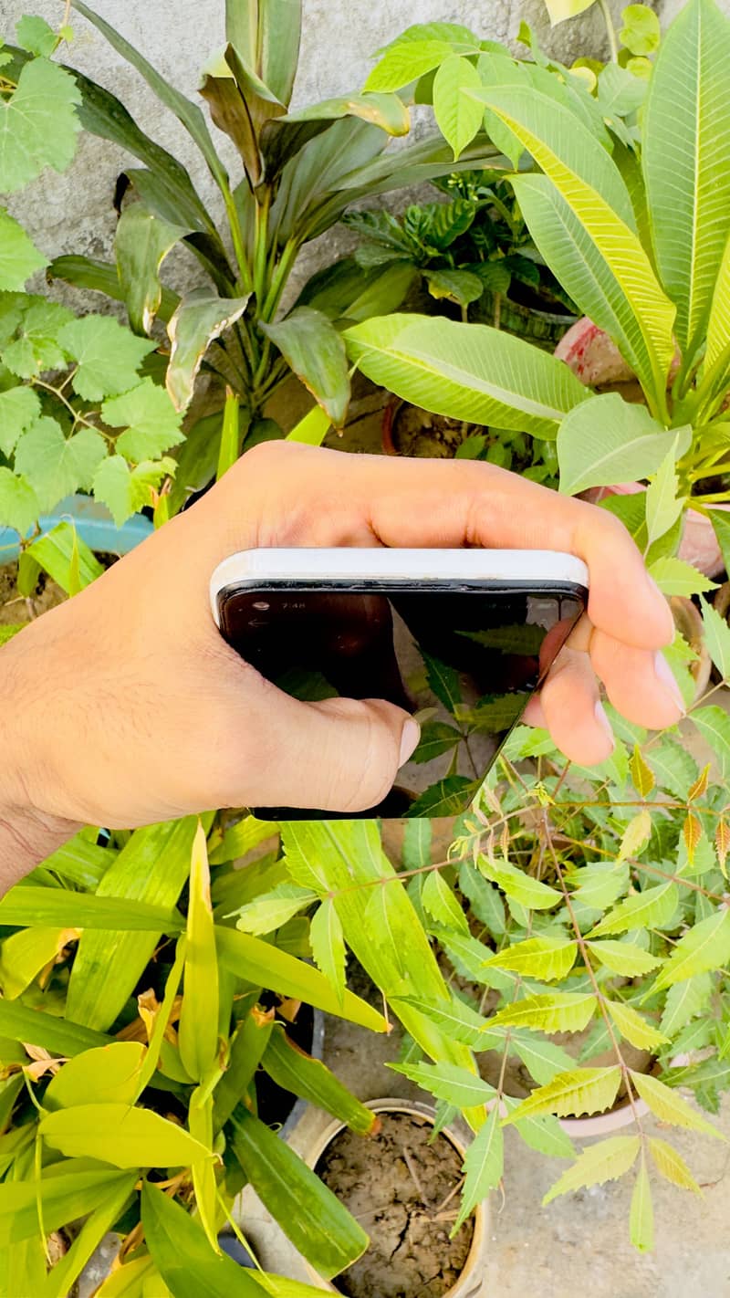 OPPO A52 5