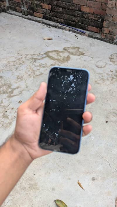 Apple iPhone 12
