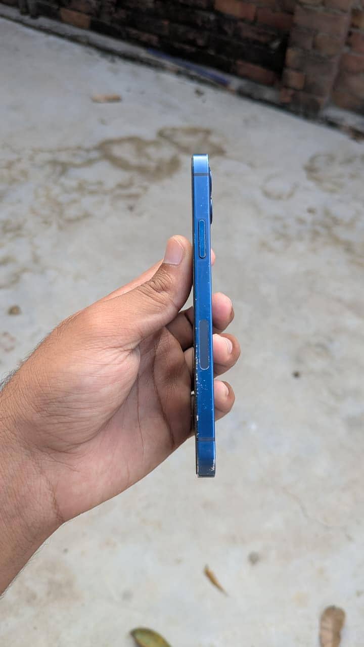 Apple iPhone 12 1
