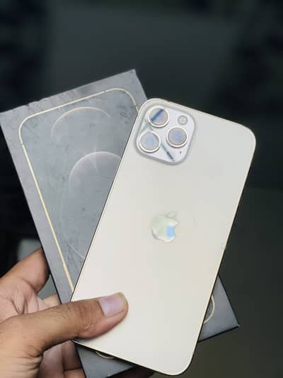 Apple iPhone 12 Pro Max
