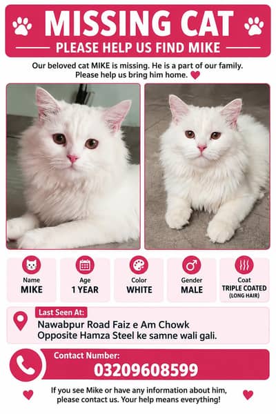 Missing Cat