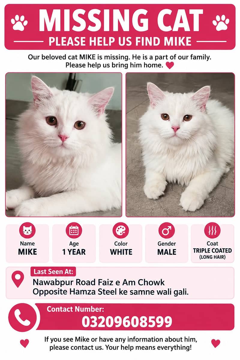 Missing Cat 0