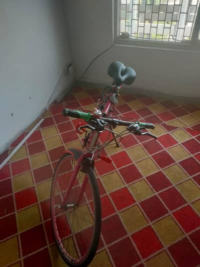 Bicycle