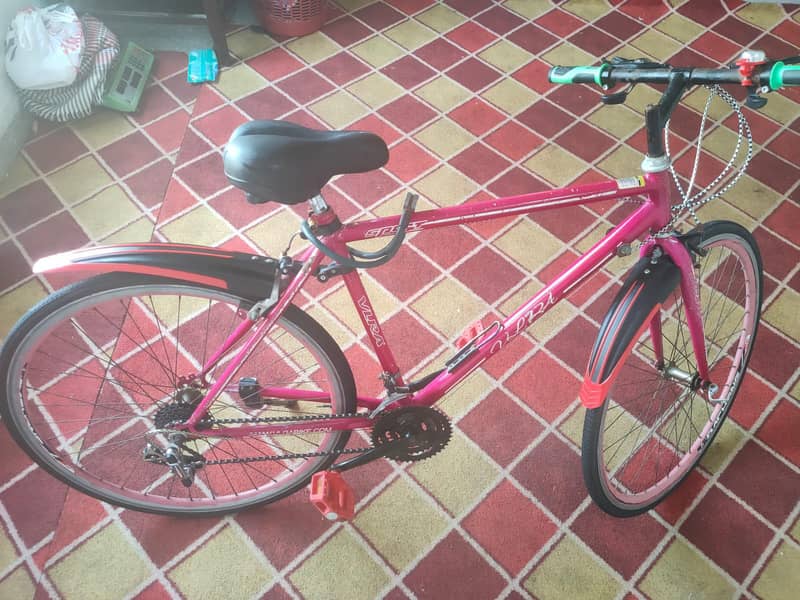 Bicycle 1