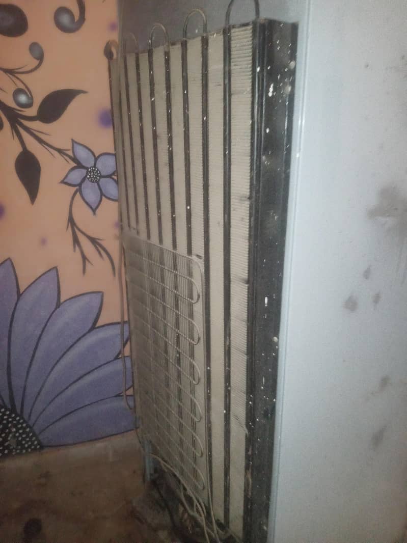 old Fridge 3
