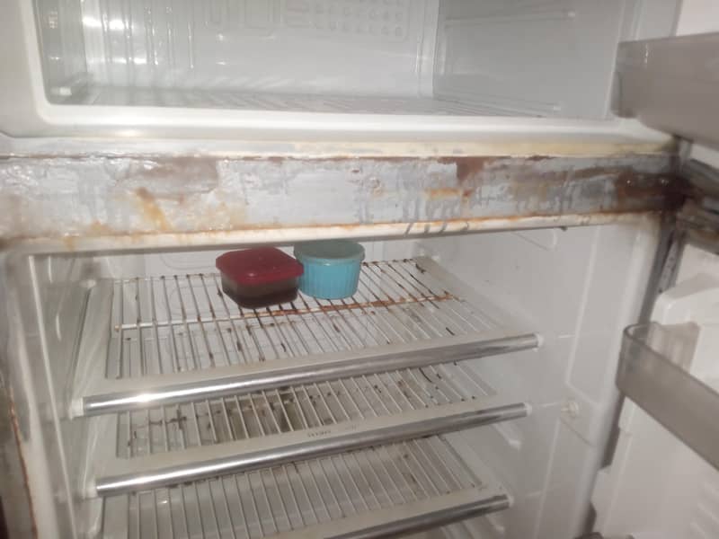 old Fridge 4