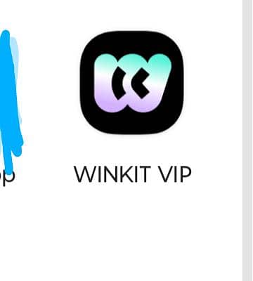 Wink Available For Life