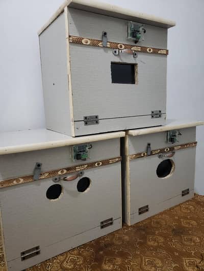 Incubator