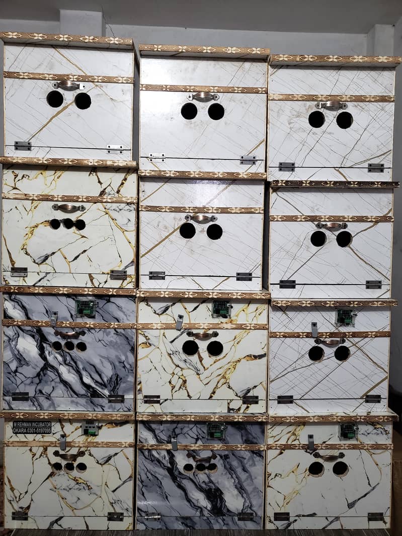 Incubator 8
