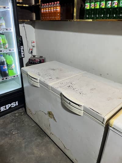 Double door Freezer
