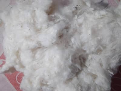Narma Rui & Desi Rui (Ginned Cotton) - High Quality