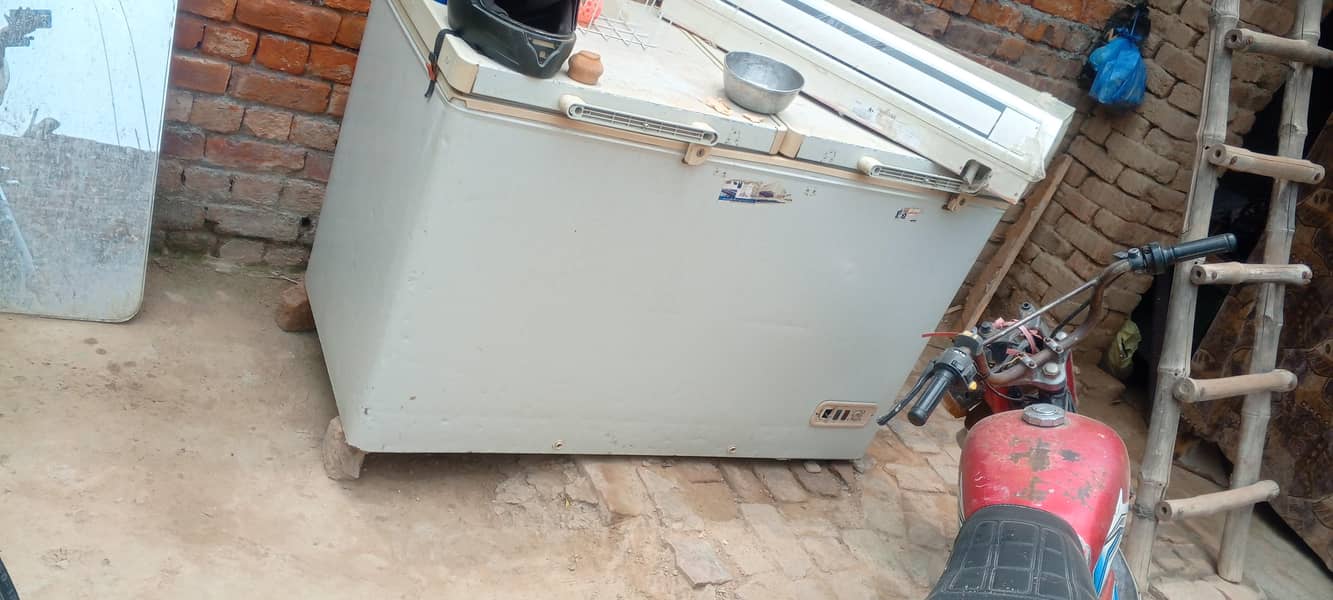 freezer d double door 3