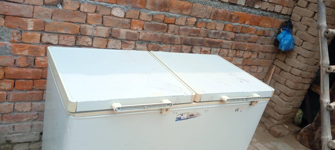freezer d double door 5
