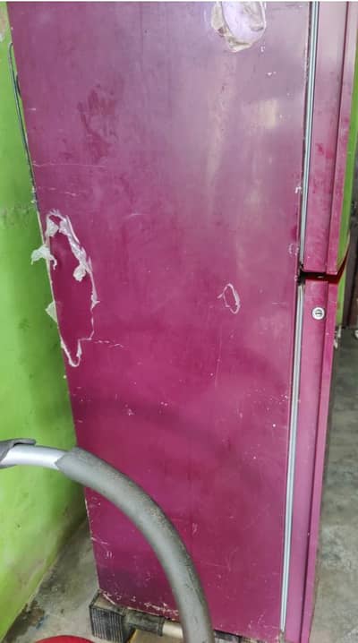 orient fridge