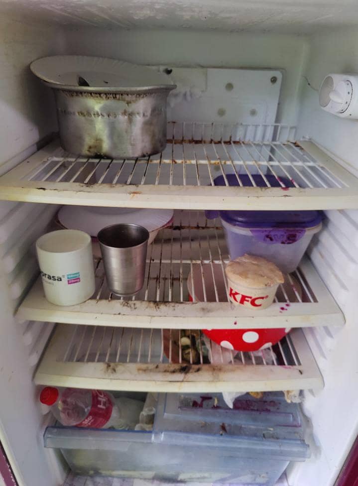 orient fridge 2