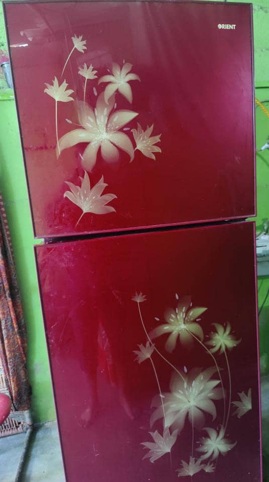 orient fridge 6