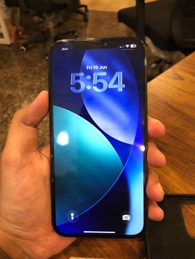 Apple iPhone 12 Pro Max
