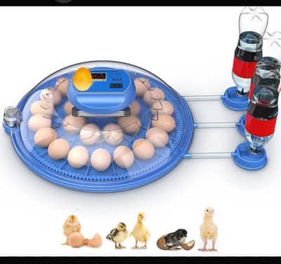 Fully Automatic Incubator
