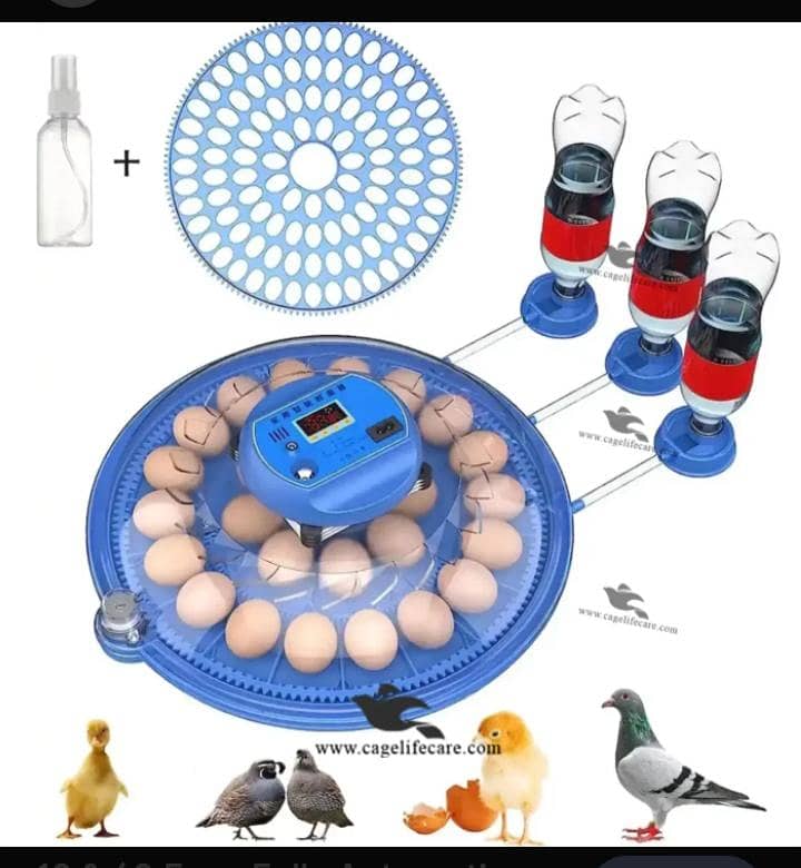 Fully Automatic Incubator 1