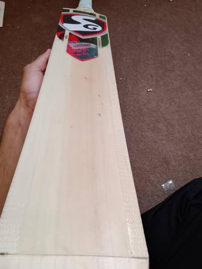 Original English willow bat Hardik pandya shape