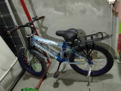 Phoenix new bicycle 3se4 time use