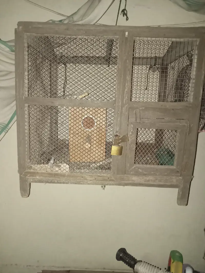 cage for bajri parrot and other parrot with breeding box — photo 4