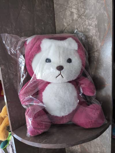 pink cap teddy