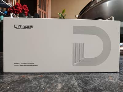 Dyness 2.5kWh LITHIUM battery