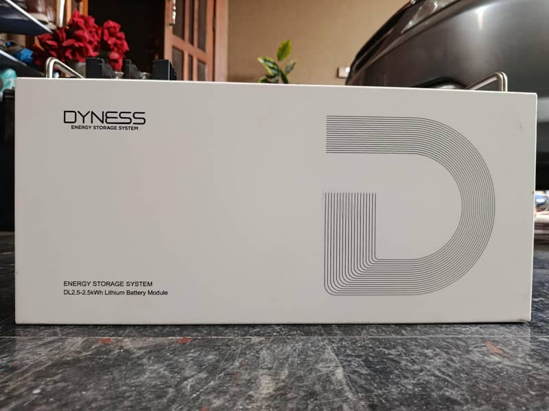 Lithium battery (Dyness 2026) 0