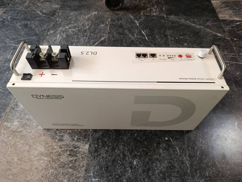 Lithium battery (Dyness 2026) 1