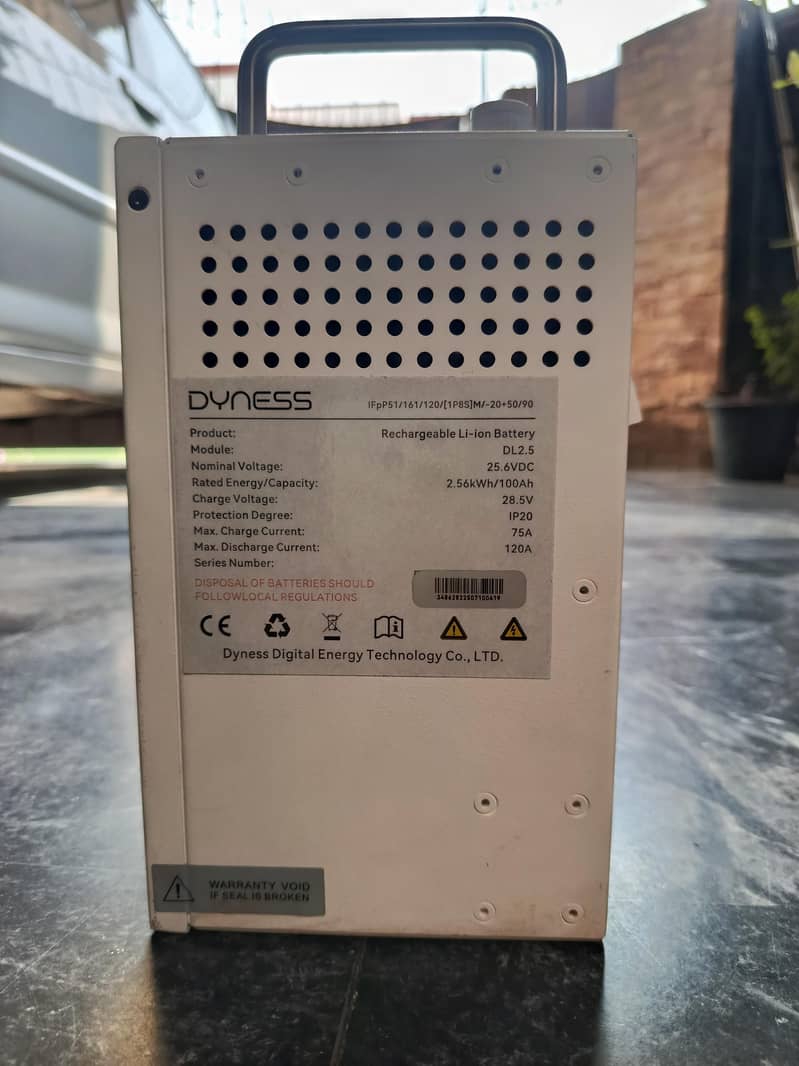 Lithium battery (Dyness 2026) 3