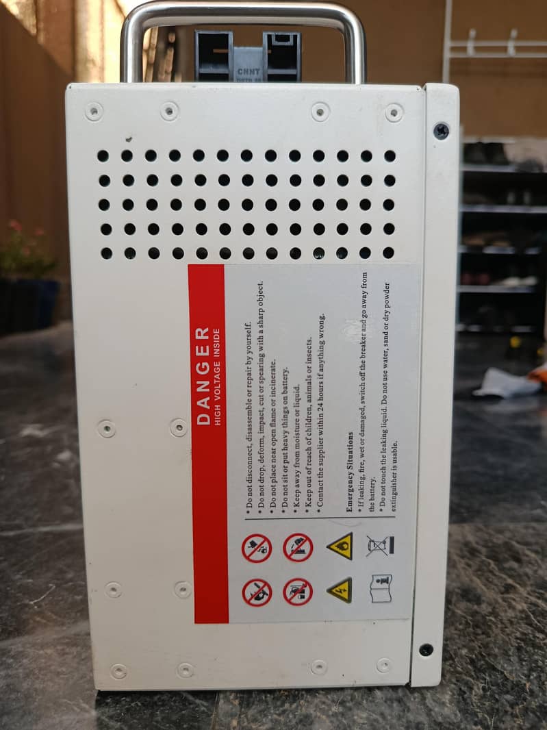 Lithium battery (Dyness 2026) 4