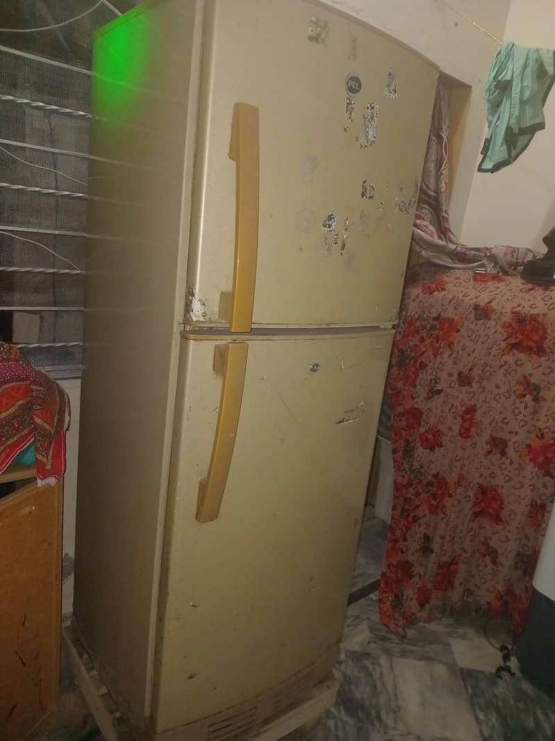 pel fridge 1