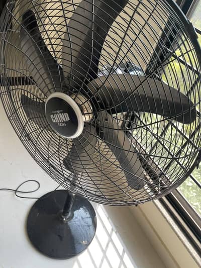 pedestal new fan 6 blades black color only in 23000