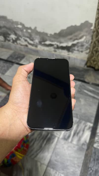 Apple iPhone 13 Pro Max