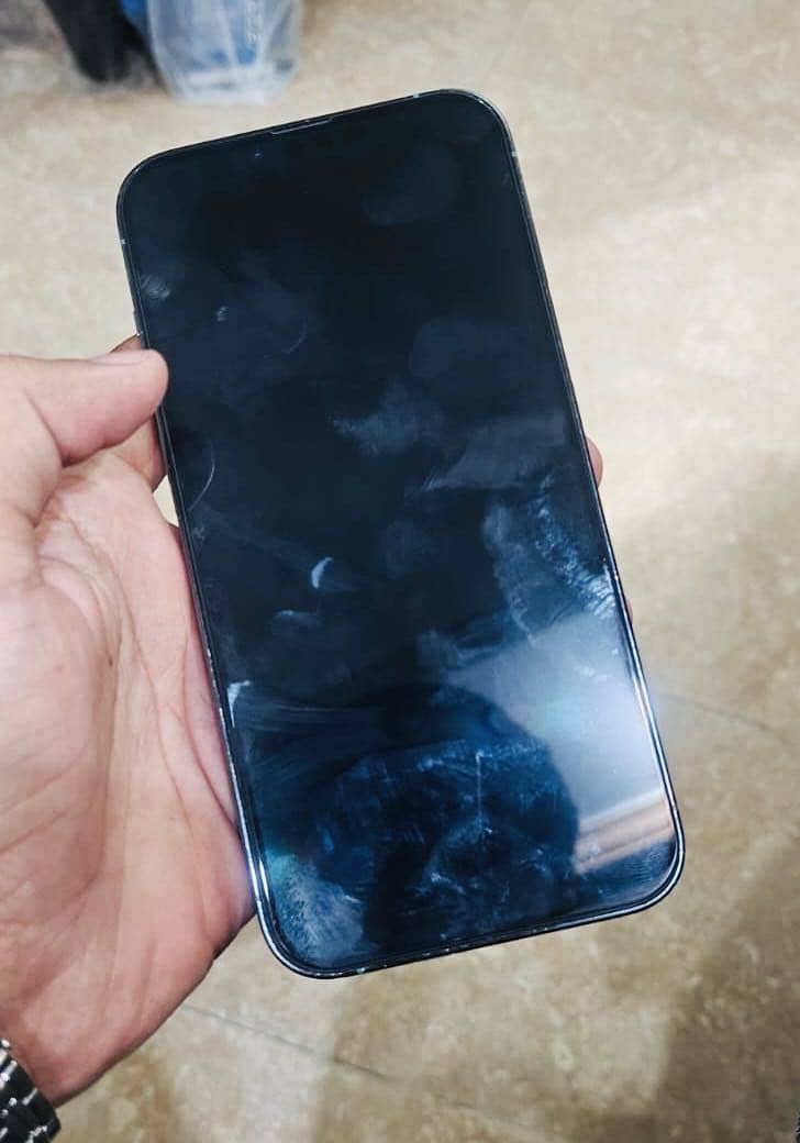 Apple iPhone 13 Pro Max 1