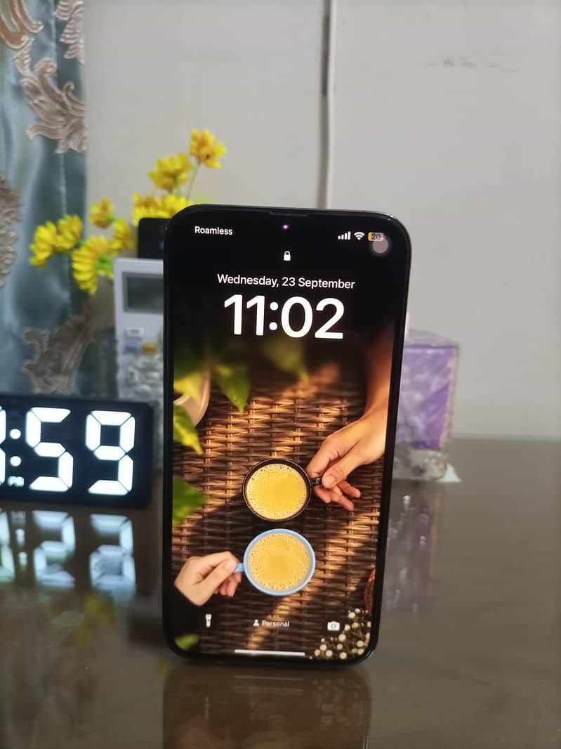 Apple iPhone 13 Pro Max 1
