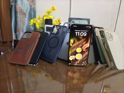 Apple iPhone 13 Pro Max