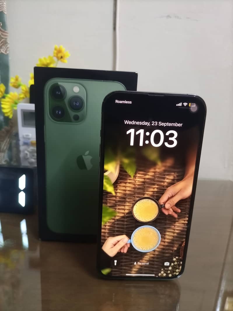 Apple iPhone 13 Pro Max 7