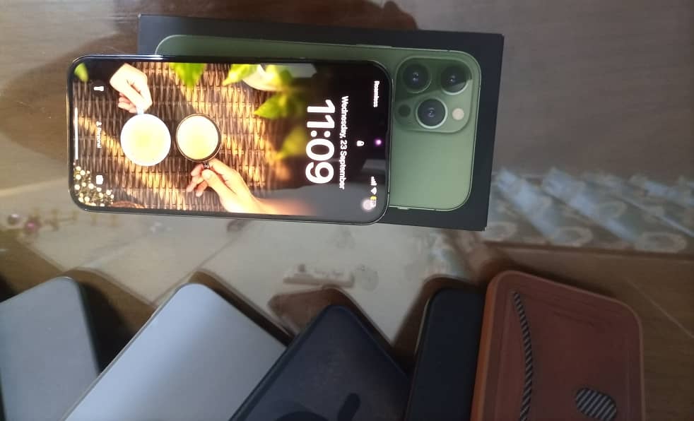Apple iPhone 13 Pro Max 9