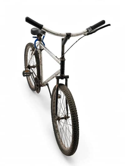 important cycle hai